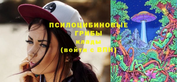 винт Алексеевка