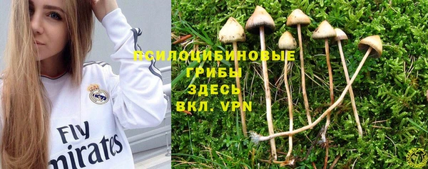 твердый Алексин